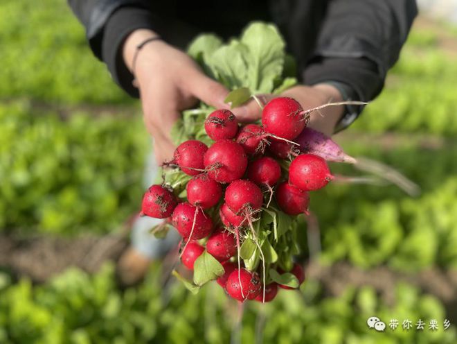 这里一定是你的“菜”(图1)