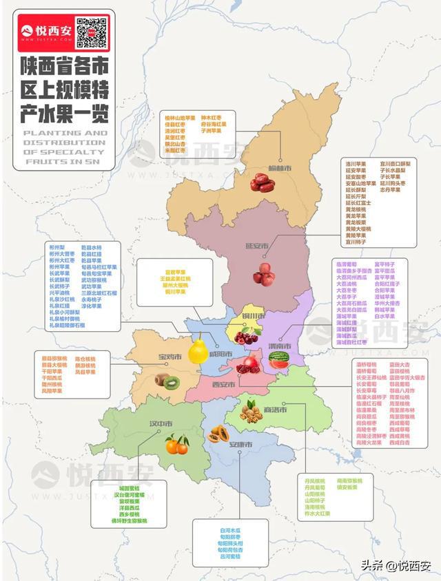 一到秋天西安人就被猕猴桃上强度了(图3)