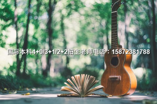 m6米乐平台2024北京理工大学国际本科录取条件_十大top排行榜(图5)
