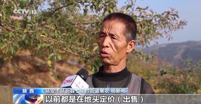 世界第一的中国苹果 来看看它们的“证件照”(图4)