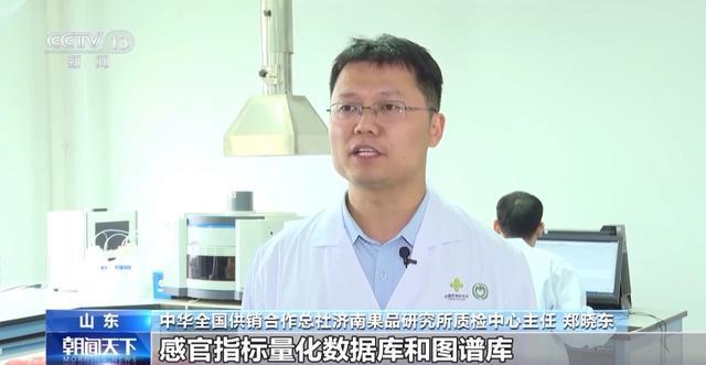 世界第一的中国苹果 来看看它们的“证件照”(图7)