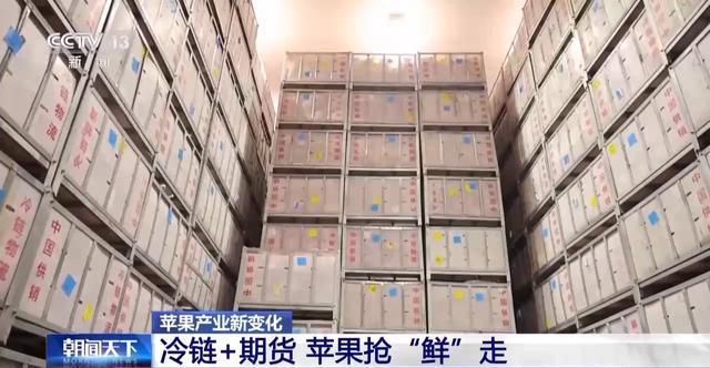 世界第一的中国苹果 来看看它们的“证件照”(图3)