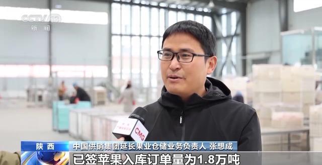 世界第一的中国苹果 来看看它们的“证件照”(图2)