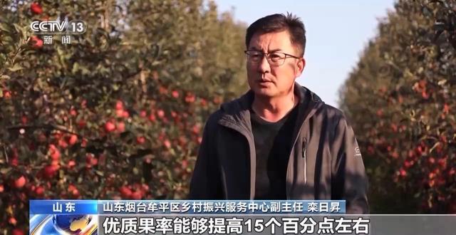世界第一的中国苹果 来看看它们的“证件照”(图9)