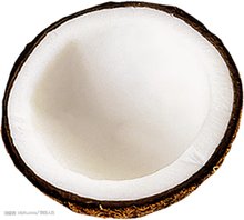 含水分和糖分较多的植物果实(图8)