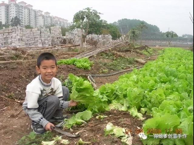 17年内给儿子拍20万张照儿子赴美留学后自杀：m6米乐平台父爱毁了他一生？(图13)