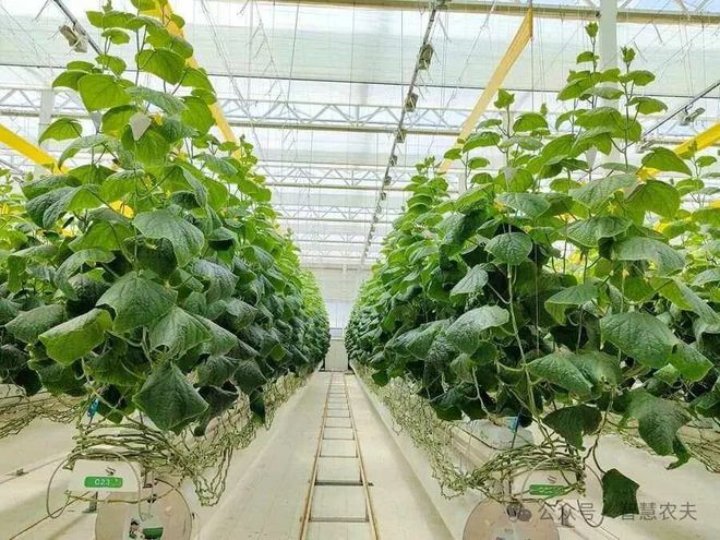 满满的科技感这样的农业才是未来的发展方向！(图3)