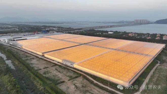 满满的科技感这样的农业才是未来的发展方向！(图2)