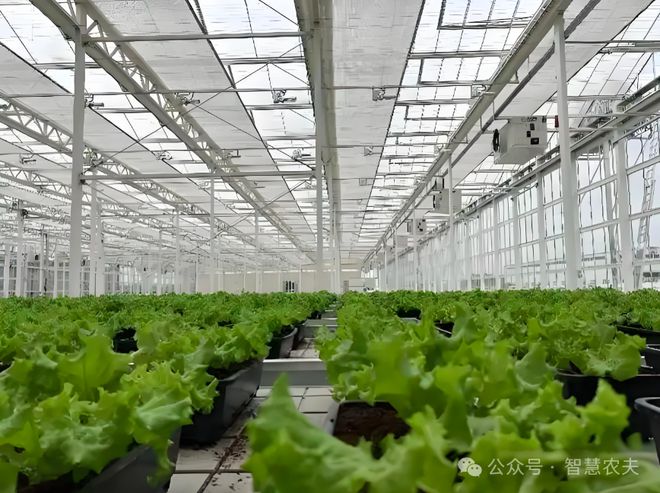 满满的科技感这样的农业才是未来的发展方向！(图5)