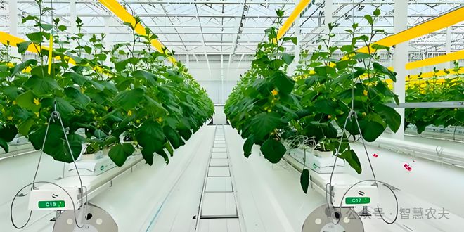 满满的科技感这样的农业才是未来的发展方向！(图8)