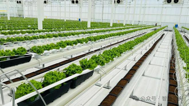 满满的科技感这样的农业才是未来的发展方向！(图10)