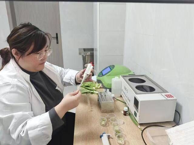 守护餐桌安全！平顶山卫东区加强蔬m6米乐网址菜质量检测工作(图1)