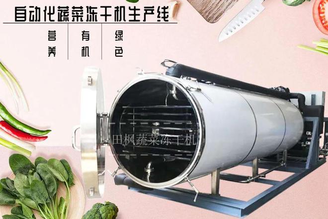 冻干果蔬：如何实现果蔬的全年供应(图1)