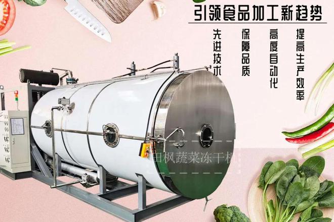 冻干果蔬：如何实现果蔬的全年供应(图2)