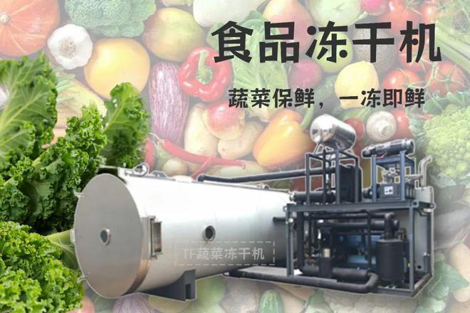 冻干果蔬：如何实现果蔬的全年供应(图3)