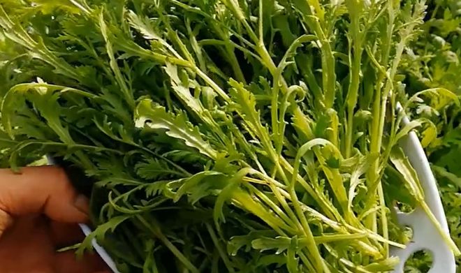 8种不打农药的蔬菜 哪怕再贵也要买可惜很多人不知道(图4)