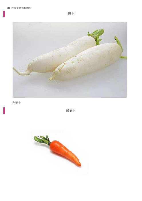 最全蔬菜种类大全(图2)