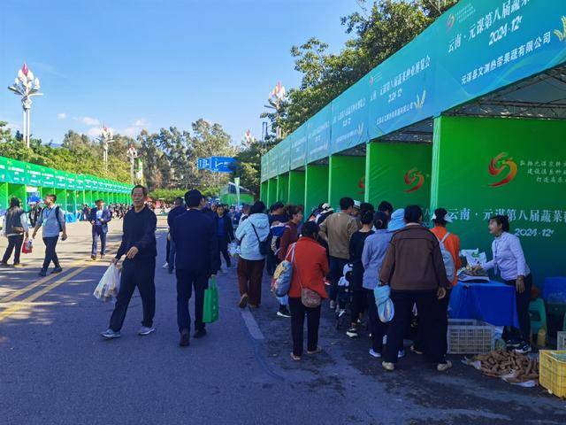 云南·元谋蔬菜种业博览会举行 琳琅满目的农产品让参观者大开眼界(图2)