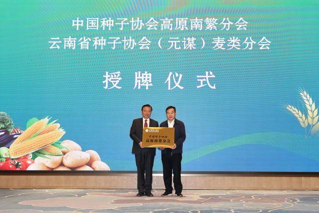 云南·元谋蔬菜种业博览会举行 琳琅满目的农产品让参观者大开眼界(图11)