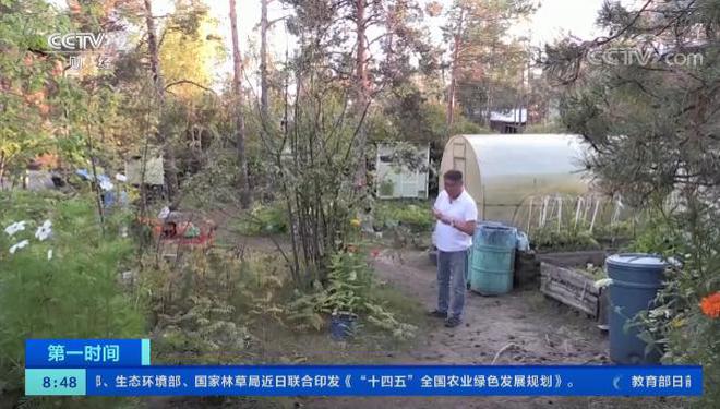 m6米乐官网西伯利亚果农种出“苹果”：能抵御-60℃严寒火柴盒装30个苹果(图8)