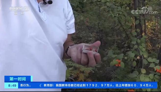 m6米乐官网西伯利亚果农种出“苹果”：能抵御-60℃严寒火柴盒装30个苹果(图10)
