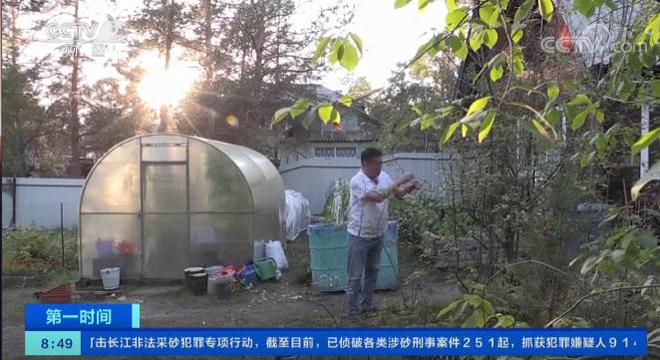 m6米乐官网西伯利亚果农种出“苹果”：能抵御-60℃严寒火柴盒装30个苹果(图11)