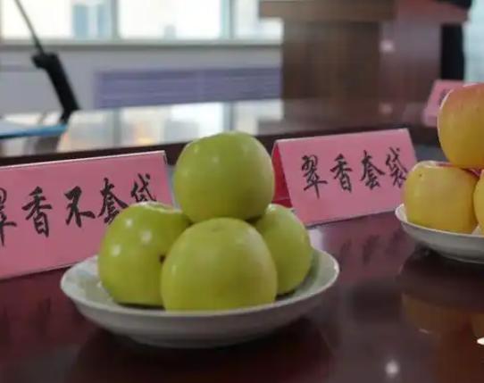 m6米乐官网西伯利亚果农种出“苹果”：能抵御-60℃严寒火柴盒装30个苹果(图17)