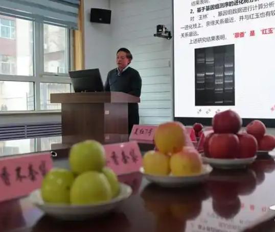 m6米乐官网西伯利亚果农种出“苹果”：能抵御-60℃严寒火柴盒装30个苹果(图15)