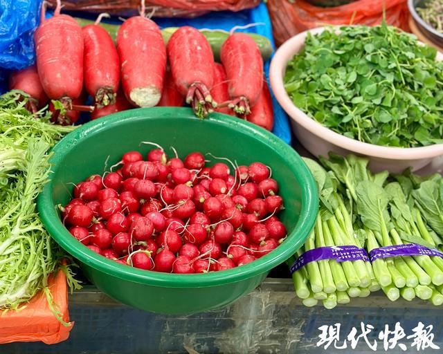“冬季限定”美食来了时令蔬菜开启尝鲜模式(图2)