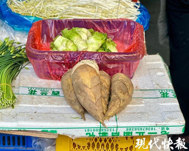 “冬季限定”美食来了时令蔬菜开启尝鲜模式(图4)
